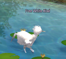 Picture of Free White Kiwi