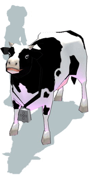 COW2.gif