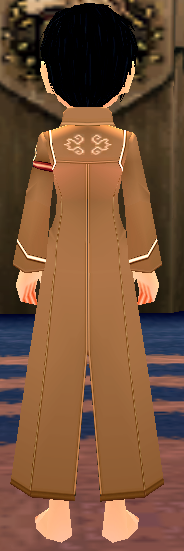 Equipped Male Royal Alchemist Robe viewed from the back