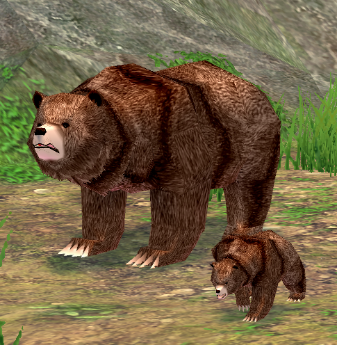 Brown Bear (Mini).png