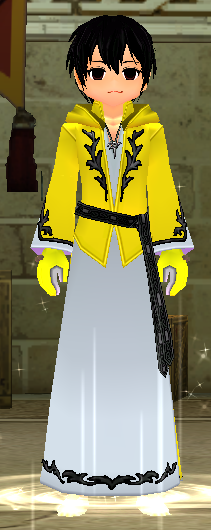 Equipped Male Eternal Twilight Robe viewed from the front with the hood down