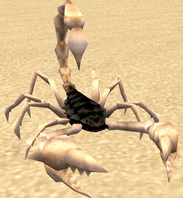 Picture of Black Sand Scorpion