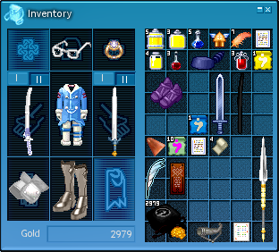 Inventory Window 2011.png