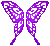 Fuschia Butterfly Wings