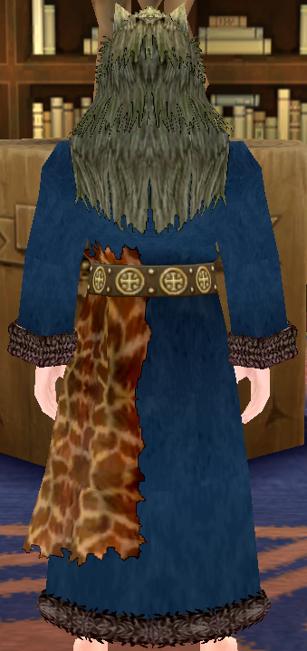 Equipped Male Giant Wolf Robe viewed from the back with the hood up
