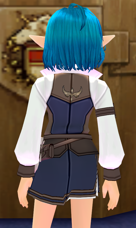Equipped Erinn Merchants' Guild Outfit (F) viewed from the back