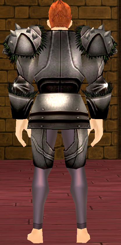 Equipped GiantMale Birnam Plate Armor viewed from the back