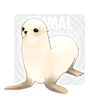 White_seal1.gif