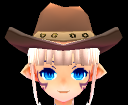 Cowboy Hat Equipped Front.png