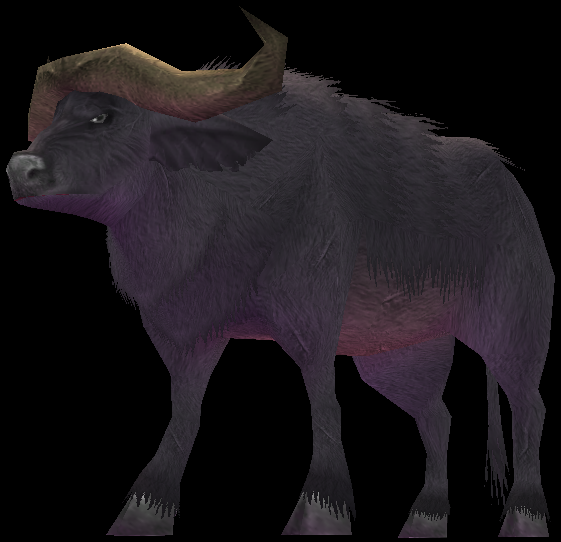 Picture of Black-haired Buffalo