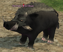 Picture of Horned Wild Boar (Black)