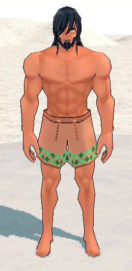 Equipped Giant Diamond Swim Trunks (M) viewed from the front