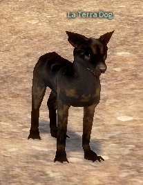 Picture of La Terra Dog