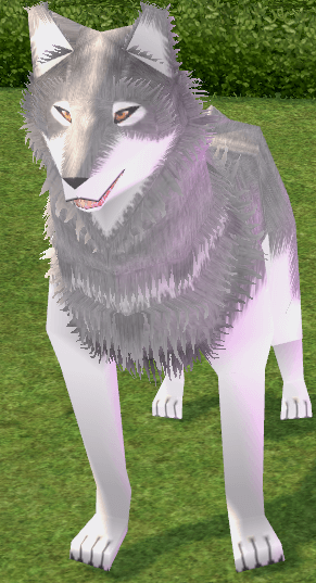 Picture of Giant White Wolf (Grandmaster)