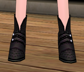 Fancy Stage Shoes Equipped Front.png