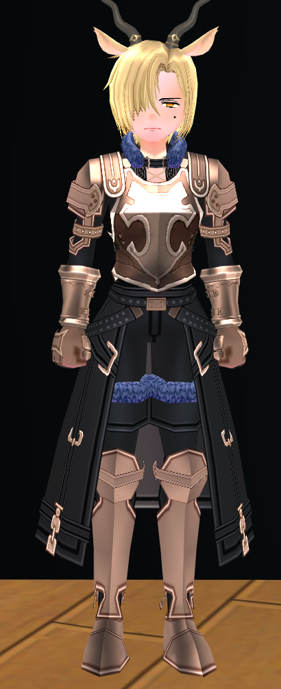 Equipped Male Refined Royal Knight Armor viewed from the front