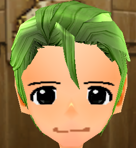 Lugh's Wig Equipped Front.png