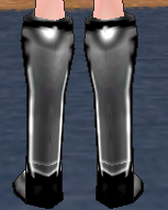 Equipped Plate Boots viewed from the back