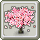 Homestead Pretty Cherry Blossom Tree