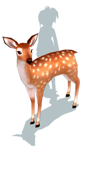 Mini Spotted Deer - Mabinogi World Wiki