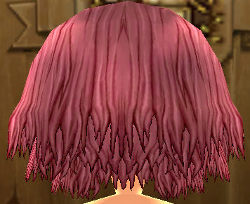 Equipped Glewyas Wig viewed from the back