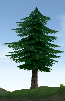 Building preview of Homestead Fir Tree