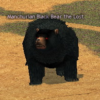 Picture of Manchurian Black Bear