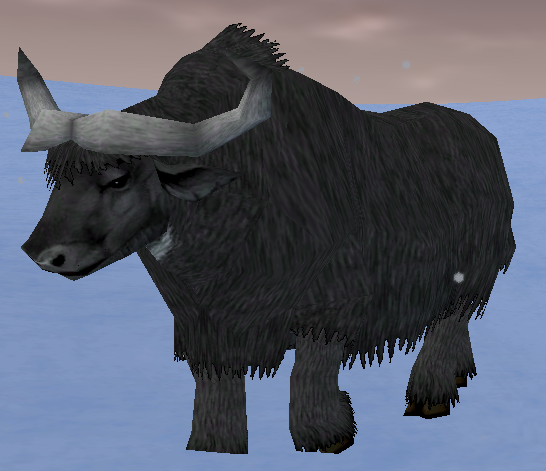 Find a Black Buffalo - World Wiki