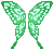 Mint Butterfly Wings