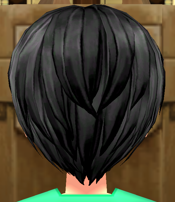 Equipped Heavy Jacket Wig (M) viewed from the back