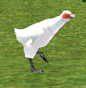 Hen (Homestead) on Homestead.png