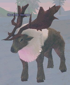 Picture of Red Antler Reindeer
