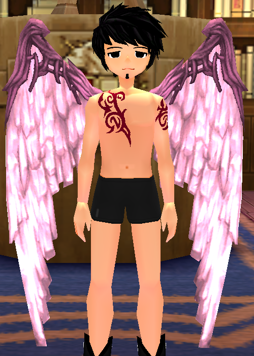 Pink Diamond Wings Equipped Front.png