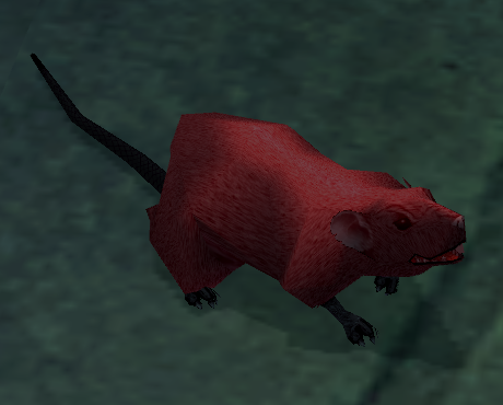 Picture of Red Town Rat
