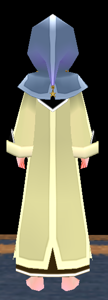 Equipped Male Starlight Robe viewed from the back with the hood up