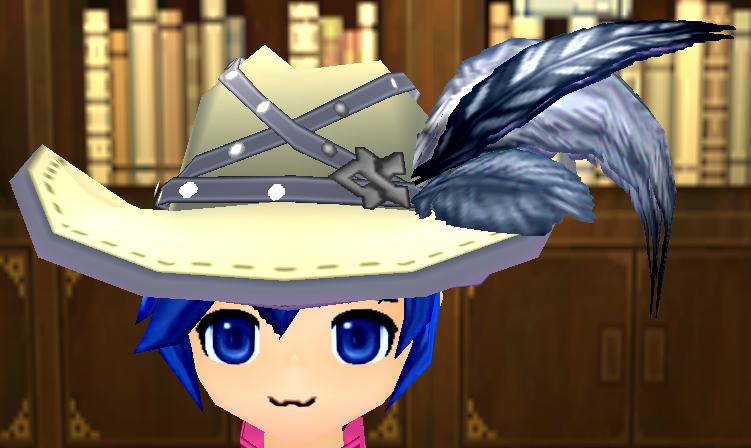 Vampire Hunter Hat (M) Equipped Front.png