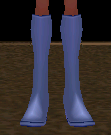 Cat Cape Shoes (F) Equipped Front.png