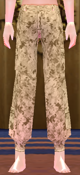 Desert Soldier Camo Pants (M) Equipped Front.png