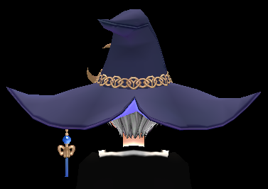 Equipped Royal Mage Hat (M) viewed from the back