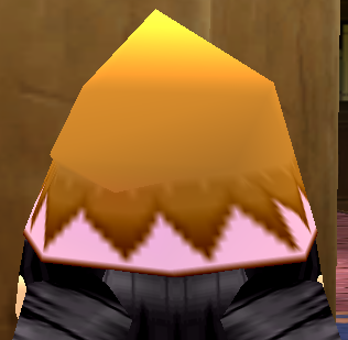 Equipped Mongo's Wizard Hat viewed from the back