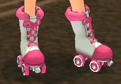 Equipped Roller Skates viewed from an angle