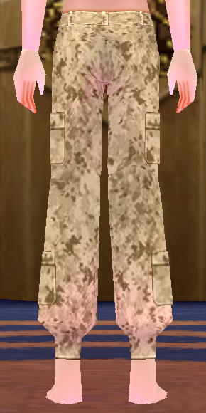 Equipped Desert Soldier Camo Pants (M) viewed from the back