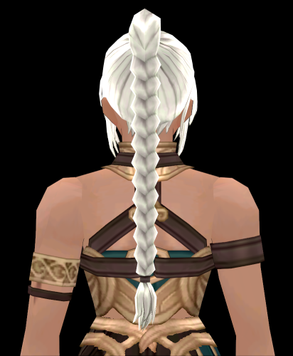 Equipped Gladiator's Wig (F) viewed from the back