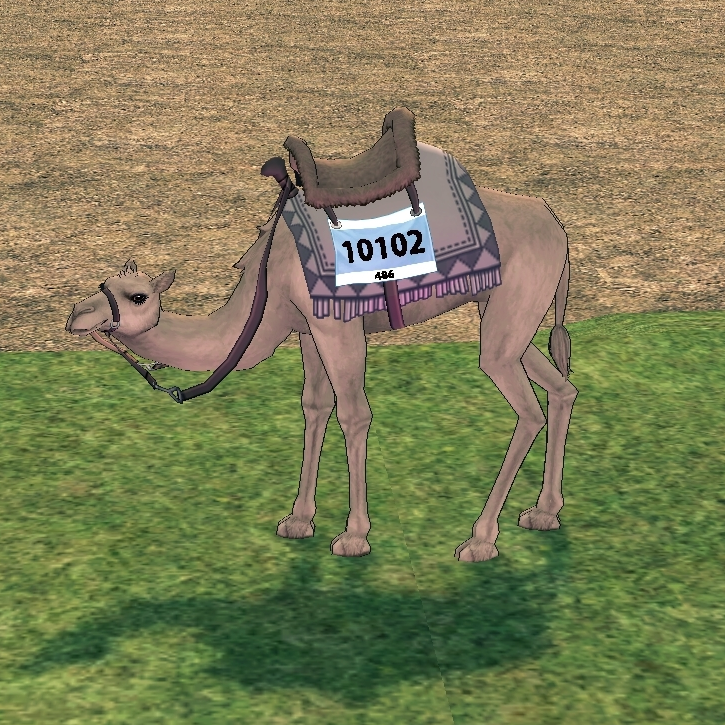 Building preview of Homestead Marathon Camel Figure