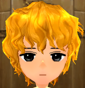 Romeo Wig Equipped Front.png