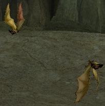 Picture of Yellow Cave Bat