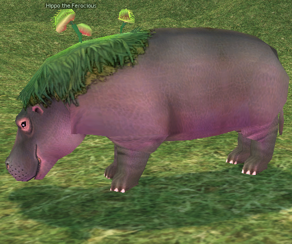 Picture of Hippo