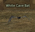 Picture of White Cave Bat