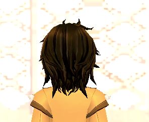 Equipped Patissier Wig (M) viewed from the back