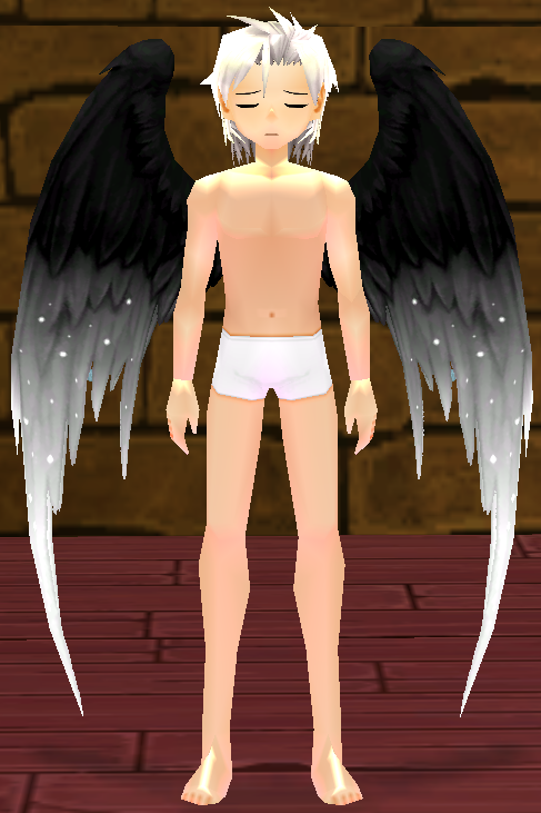 Void Night Frostblossom Wings Equipped Front.png